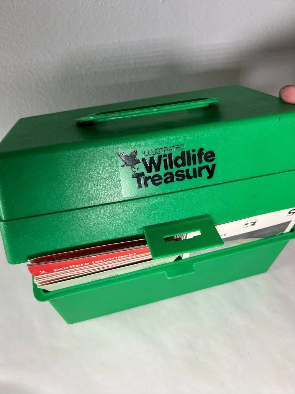 Vintage illustrated wildlife treasury cards and case over 500 cards